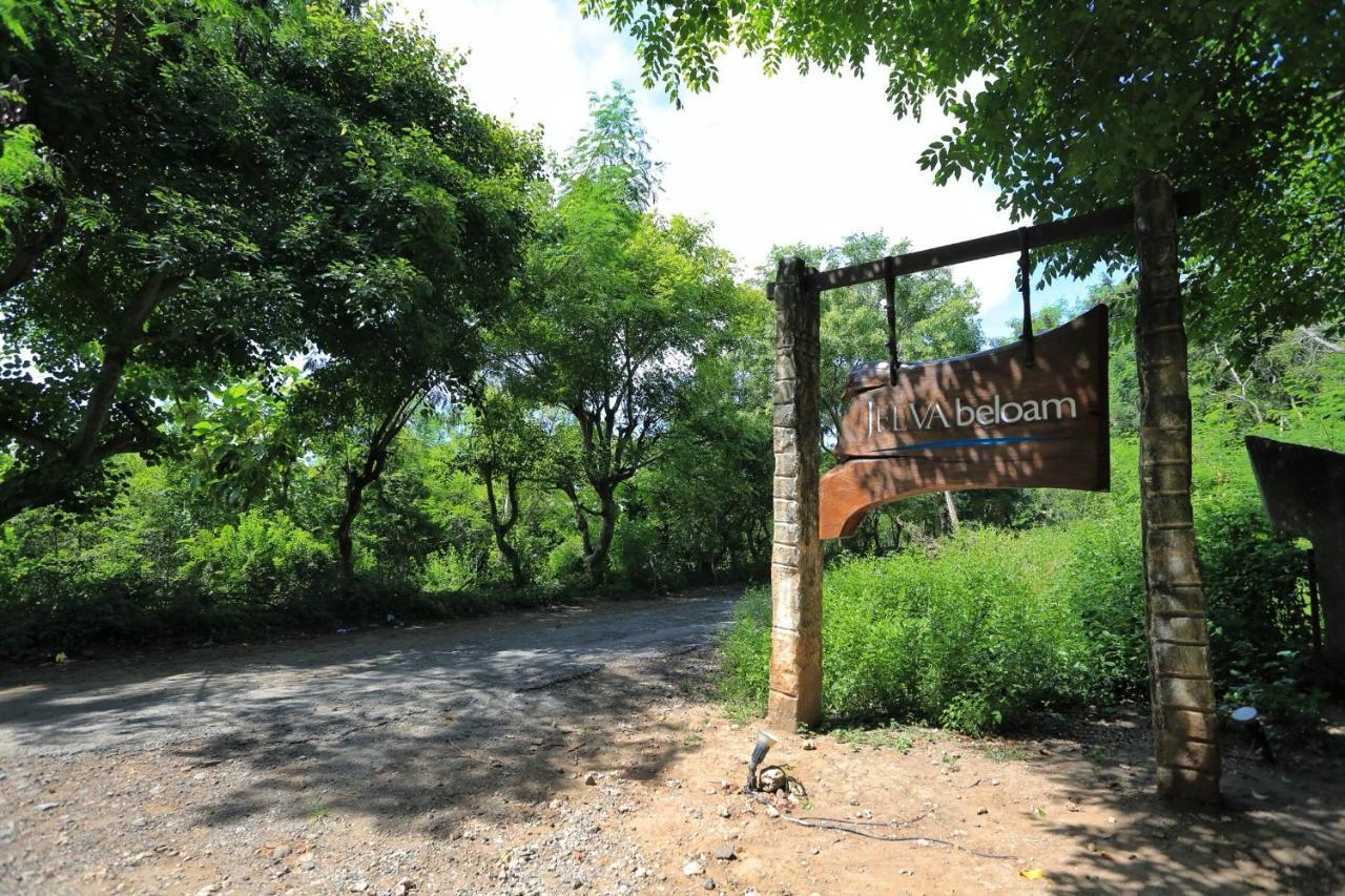 Jeeva Beloam Beach Camp Tanjung Ringgit Exterior foto